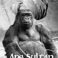 ape sultan.jpg