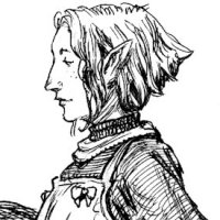 elven_fighter_001.jpg