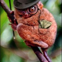 Mr.Monkeybags.JPG