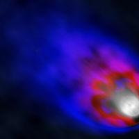 eye-of-the-gander.png