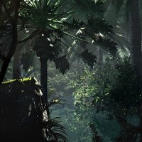 Hidden Valley Jungle 4.jpg