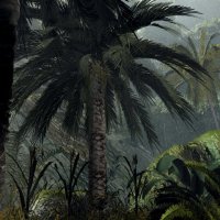 Hidden Valley Jungle 8.jpg