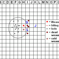 weaselgrid.GIF