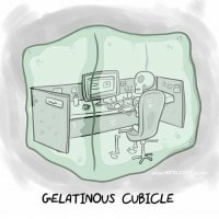 Jellycubicle.jpg