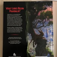 Back of the book.jpeg