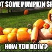 pumpkin dude.jpg