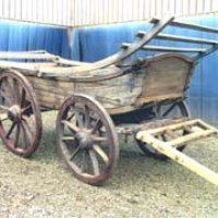cool_wagon2.jpg
