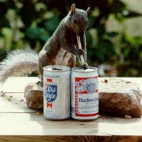 bud-squirrel.jpg