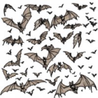 swarm_bat.jpg