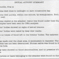 Initial Autospy Summary.gif