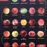 apple flavor chart.jpg