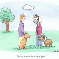 dog_funnel.gif