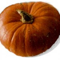 one-pumpkin.jpg