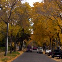000_0037.jpg