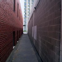 000_0040.jpg