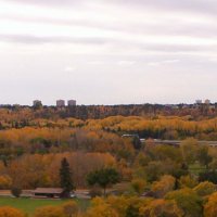 000_0055.jpg