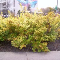 000_0144.jpg