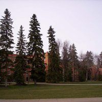 000_0151.jpg