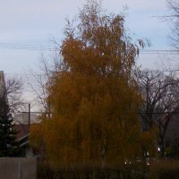 000_0167.jpg