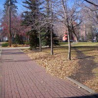 000_0266.jpg