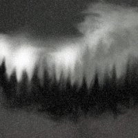 Forest Mist_dg.jpg