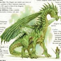 green dragon.png