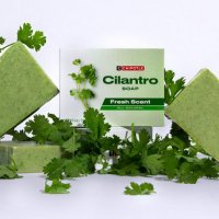 Chipotle-Launches-New-Cilantro-Soap-678x381-1666525887.jpg