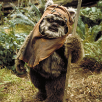 Wicket_W_Warrick.png