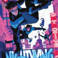 nightwing3.jpg