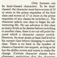 dualclass.jpg