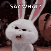 secret-life-of-pets-rabbit[1].gif