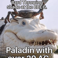 bard-throwing-shade-at-bbeg-paladin-with-over-20-ac.png