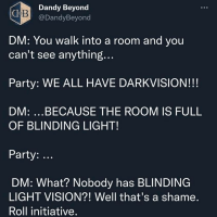 room-is-full-blinding-light-party-dm-nobody-has-blinding-light-vision-well-s-shame-roll-initia...png