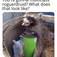 gonna-multiclass-roguedruid-does-look-like.png