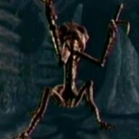creature.JPG
