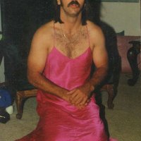 transimullet.jpg