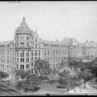 NYC Museum of Natural History.jpg