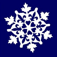 the_snowflake.jpg