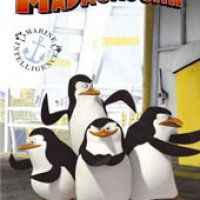 Madagascar_Penguins-01.jpg