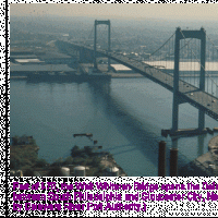 walt whitman bridge.gif