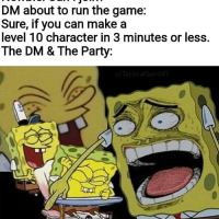 game-sure-if-can-make-level-10-character-3-minutes-or-less-dm-party-imgflipcom-utacticalsaint-47.png