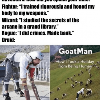 made-bank-druid-goat-man-took-holiday-being-human-dabmoms-thomas-thwaites-author-toaster-project.png