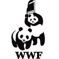 wwf_wrestling_pandas.png