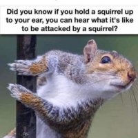 IMG_9063.jpeg