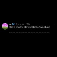 IMG_8789.jpeg