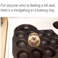 IMG_8812.jpeg