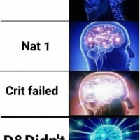 rolled-1-nat-1-crit-failed-ddidnt.png