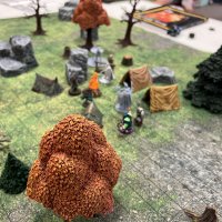 IMG_0041.jpeg