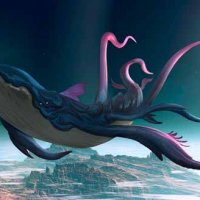 whale.jpg