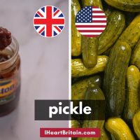 different-words-us-uk-pickle.png